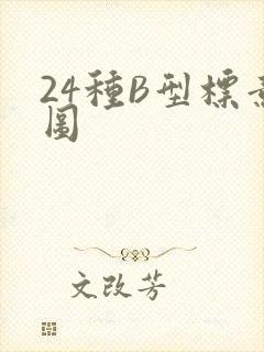 24种B型标意图