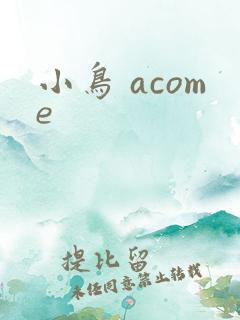 小鸟 acome