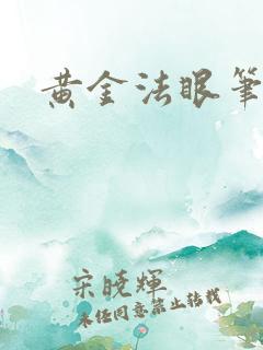 黄金法眼笔趣阁