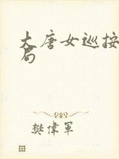 大唐女巡按大结局