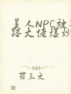美人NPC被各路大佬爆炒小说