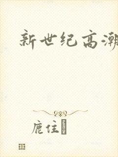 新世纪高潮战队