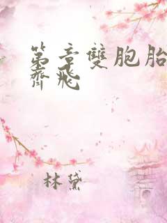 第章双胞胎姐妹齐飞