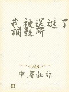 我被送进了私奴调教所