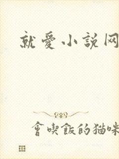 就爱小说网