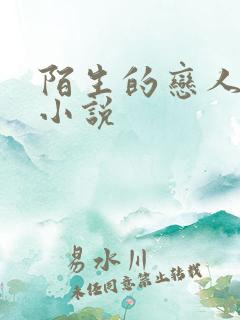 陌生的恋人原著小说