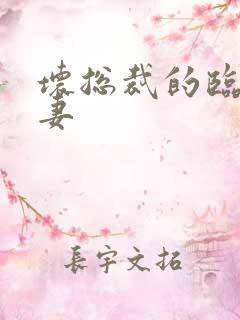 坏总裁的临时娇妻