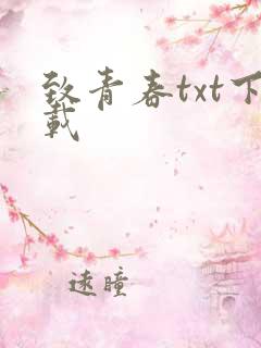 致青春txt下载
