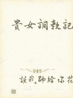 贵女调教记