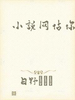 小说网站你懂的