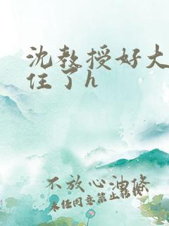 沈教授好大含不住了h