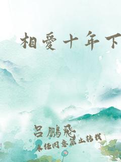 相爱十年下载