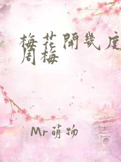 梅花开几度老张周梅