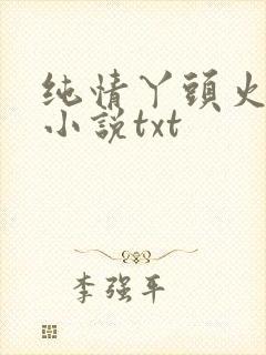 纯情丫头火辣辣小说txt