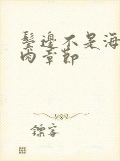 鬓边不是海棠红肉章节