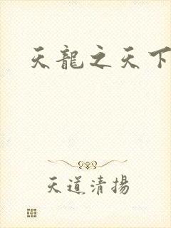 天龙之天下有我