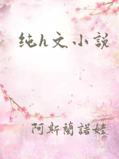 纯h文小说