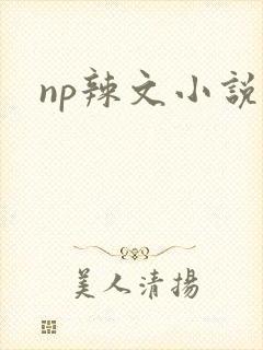 np辣文小说