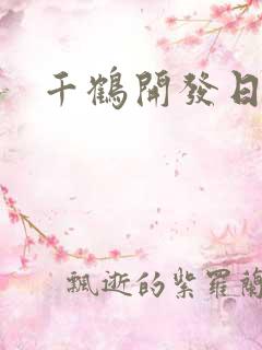 千鹤开发日记