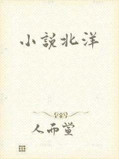 小说北洋