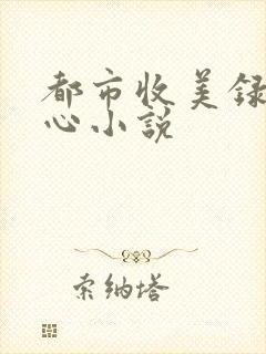 都市收美录宁素心小说