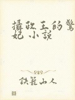 摄政王的惊世嫡妃 小说