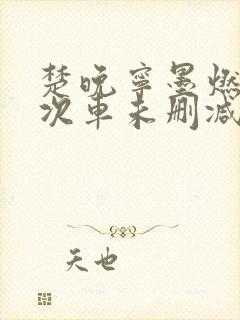 楚晚宁墨燃第一次车未删减