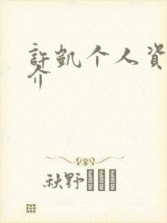 许凯个人资料简介