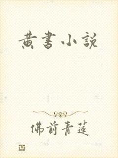 黄书小说