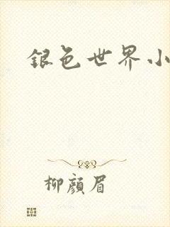 银色世界小说
