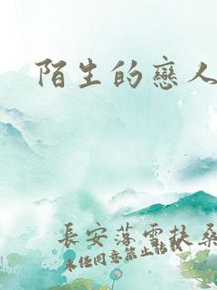 陌生的恋人小说