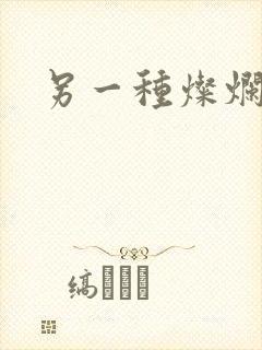 另一种灿烂生活