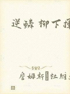 逆鳞 柳下挥