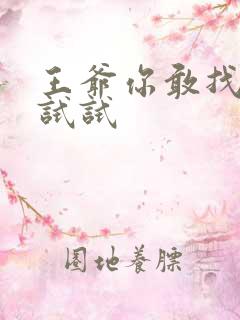 王爷你敢找小三试试