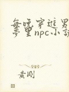 每晚穿进男神的梦里npc小说
