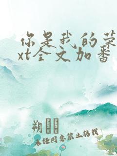 你是我的荣耀txt全文加番外