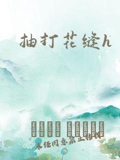 抽打花缝h
