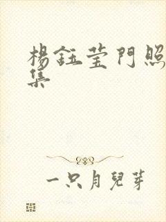 杨钰莹门照艳全集