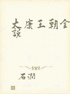 大康王朝金峰小说