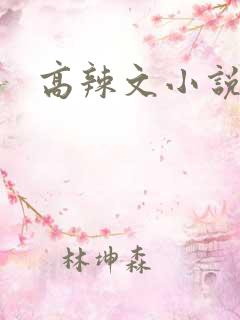 高辣文小说