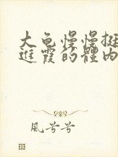 大龟慢慢挺进王进霞的体内