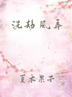洗劫 风弄