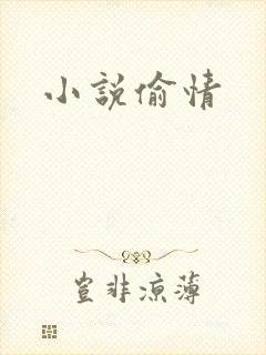 小说偷情