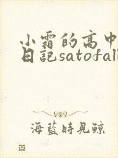 小霜的高中成长日记satofall