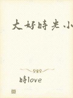 大好时光小说