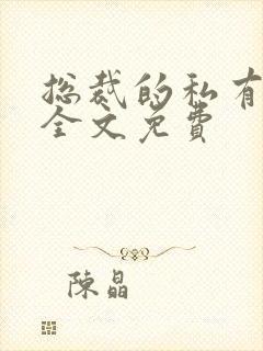 总裁的私有宝贝全文免费