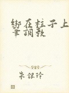 绑在柱子上用毛笔调教