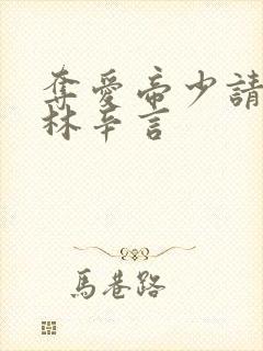 夺爱帝少请放手林辛言