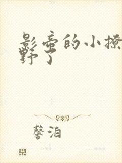 影帝的小撩精太野了