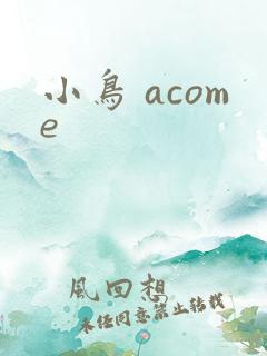 小鸟 acome